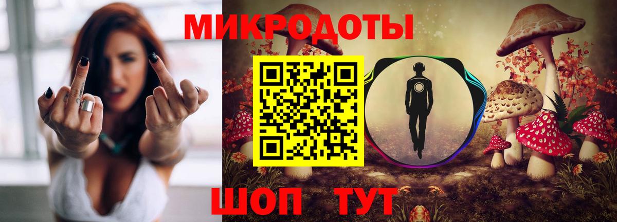 Псилоцибиновые грибы мицелий Екатеринбург